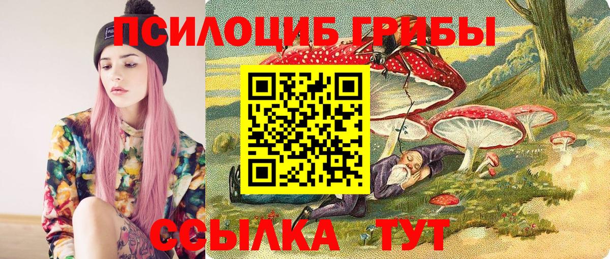 Псилоцибиновые грибы GOLDEN TEACHER  Вход с VPN  Советский 