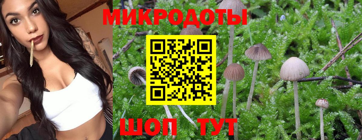 Галлюциногенные грибы мухоморы Советский